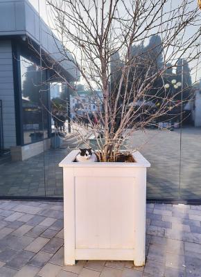 Прикрепленное изображение: photo_2023-02-26_20-49-19.jpg